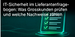 IT-Sicherheit im Lieferantenfragebogen: Was Grosskunden prüfen und welche Nachweise zählen