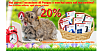 Ti sei perso le offerte di Pasqua?