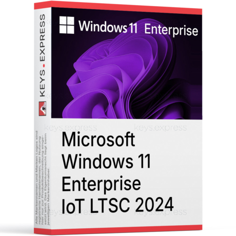 Microsoft Windows 11 Enterprise IoT LTSC 2024 Key
