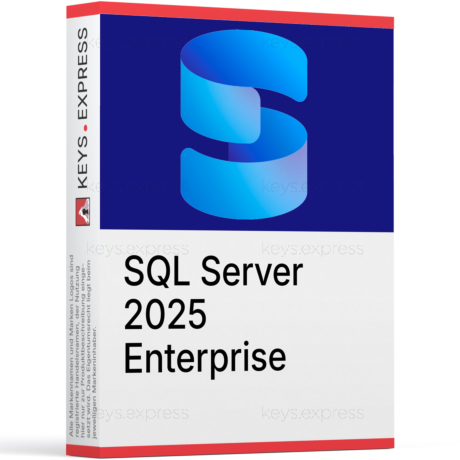 Microsoft SQL 2025 Enterprise 2-Core Key