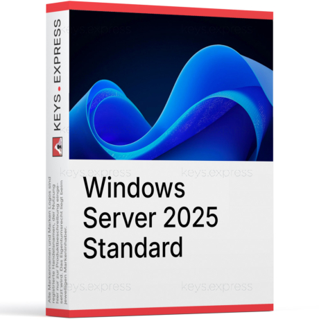 Windows Server 2025 Standard 16-core Key (1 User)