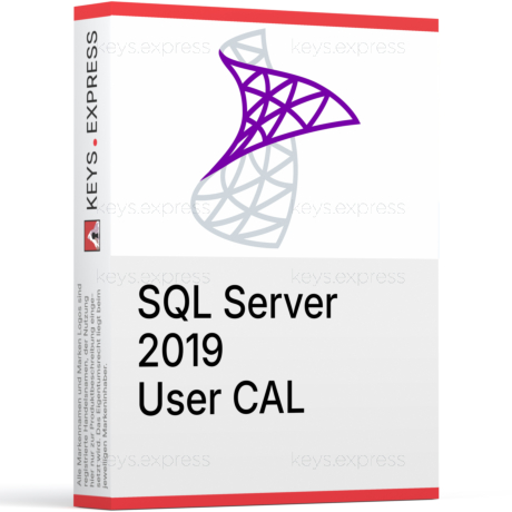 Microsoft SQL 2019 User CAL Key (1)