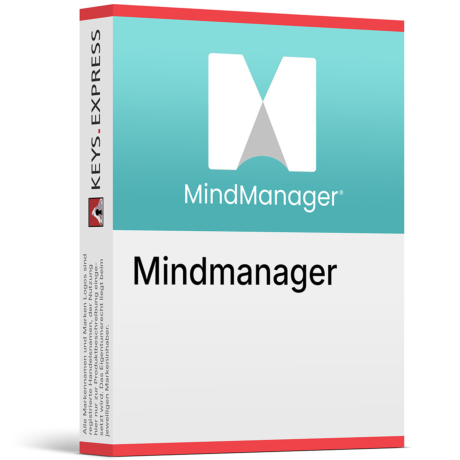 MindManager Professional