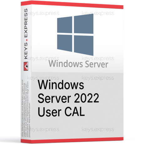 Microsoft Server 2022 User CAL