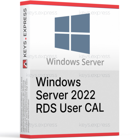 Microsoft Server 2022 RDS User CAL