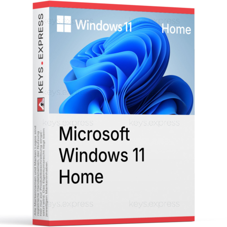 Microsoft Windows 11 Home OEM Key