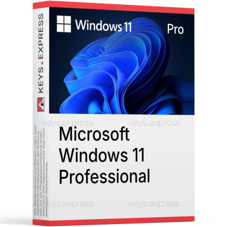 Microsoft Windows 11 Professional Key (5 PC)