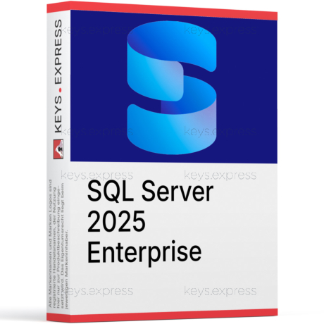 Microsoft SQL 2025 Enterprise 2-Core Key