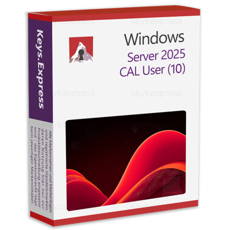 Microsoft Server 2025 User CAL Key (10)