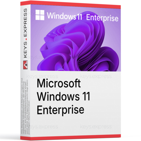 Microsoft Windows 11 Enterprise Key