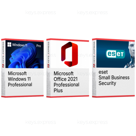 Windows 11 Pro & Office 2024 Professional Plus & eset Small Business Security Keys