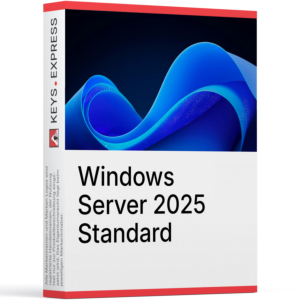 Microsoft Server 2025 Standard 2-core Key (1 User)
